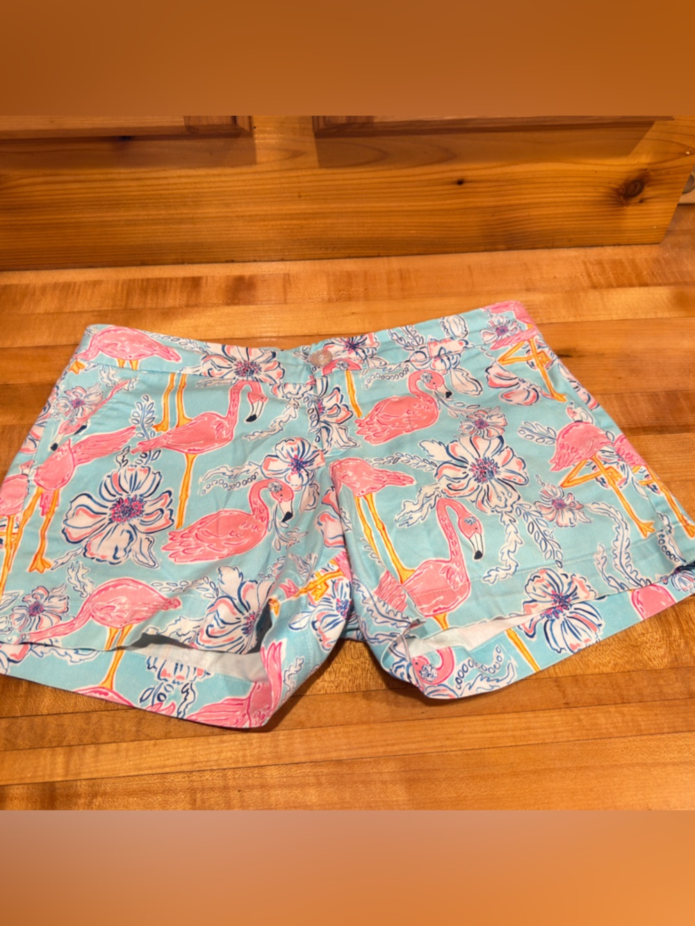 Kaeli Smith Light Blue Pink Flamingo Print Shorts